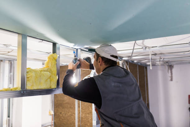 Best Geographic-Specific Insulation Services in Franklinton, NC