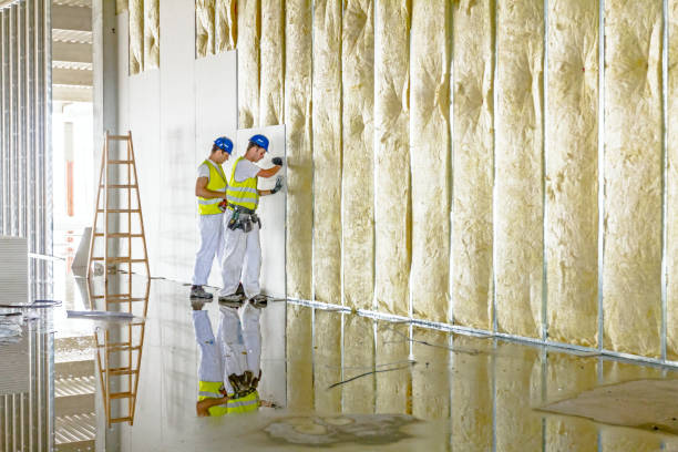 Best Blown-in Insulation in Franklinton, NC